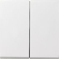 Лицевая панель Gira System55 для 2-кл. выключателя белый матовый картинка